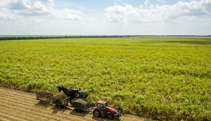 farm shot