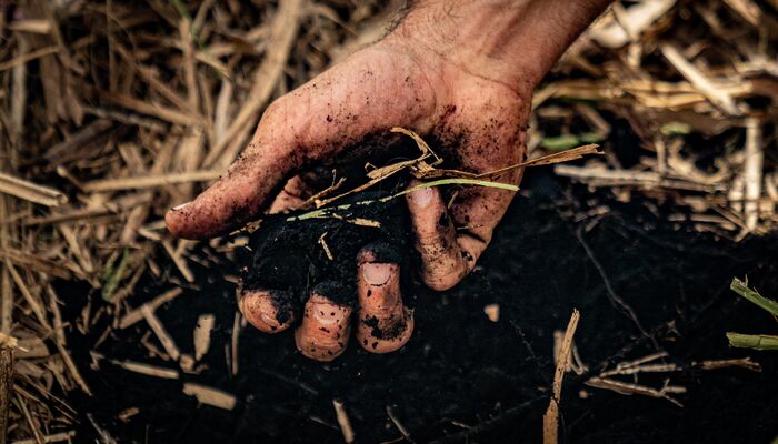 dirt
