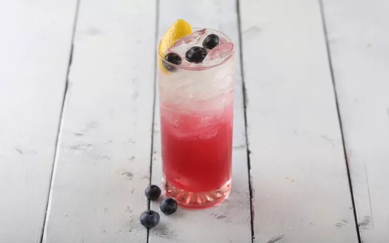 Blueberry Fizz