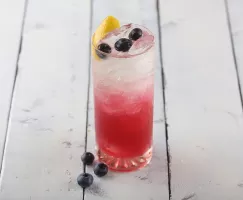 Blueberry Fizz