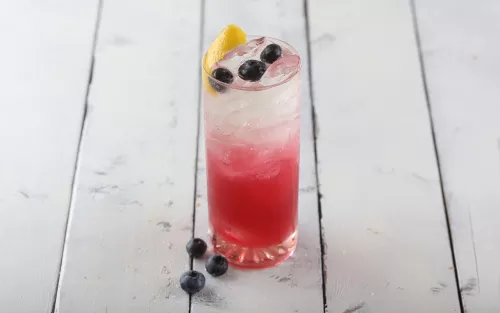 Blueberry Fizz