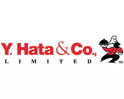 Y Hata Logo